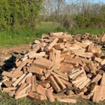 alved((